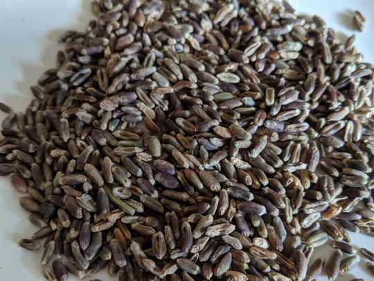 Black Wheat Chapatti Flour - Anti oxidant rich